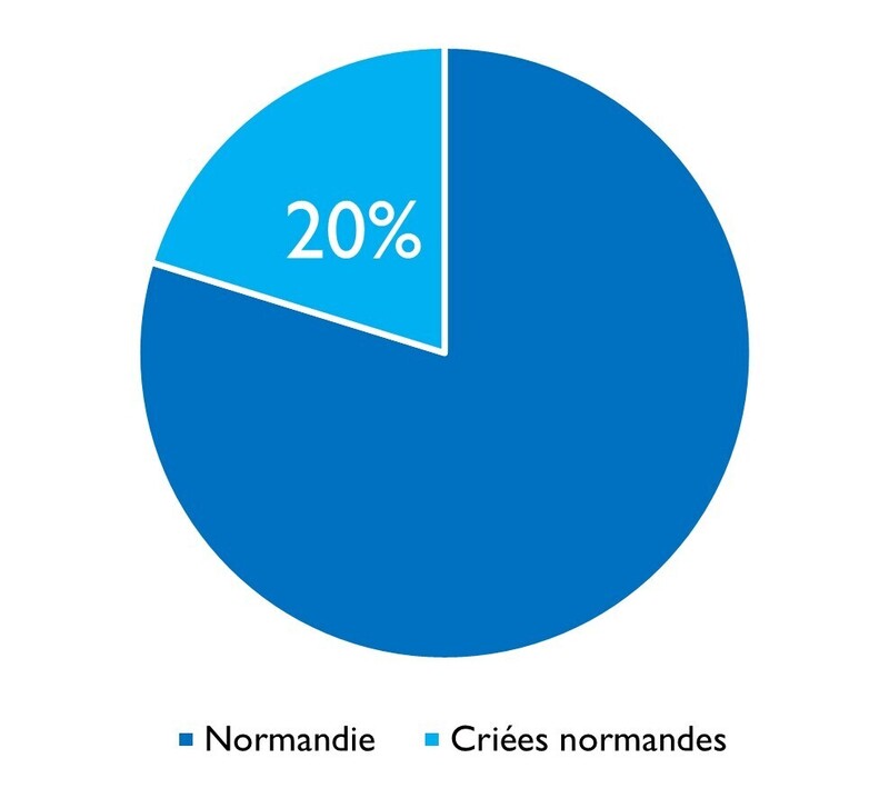 Araignée de mer criées normandes