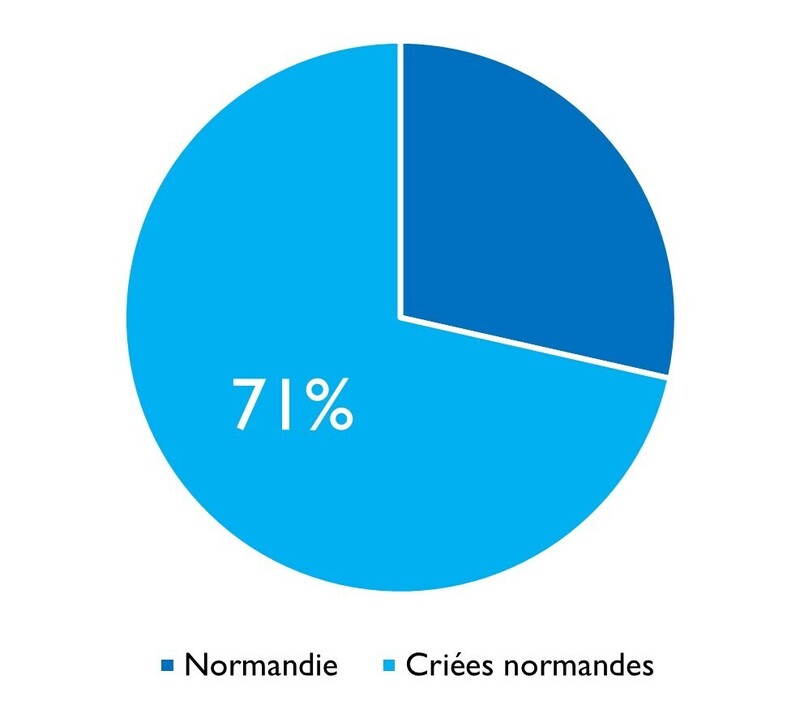 Calamar criées normandes