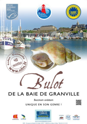 Affiche bulot (MSC grisé)