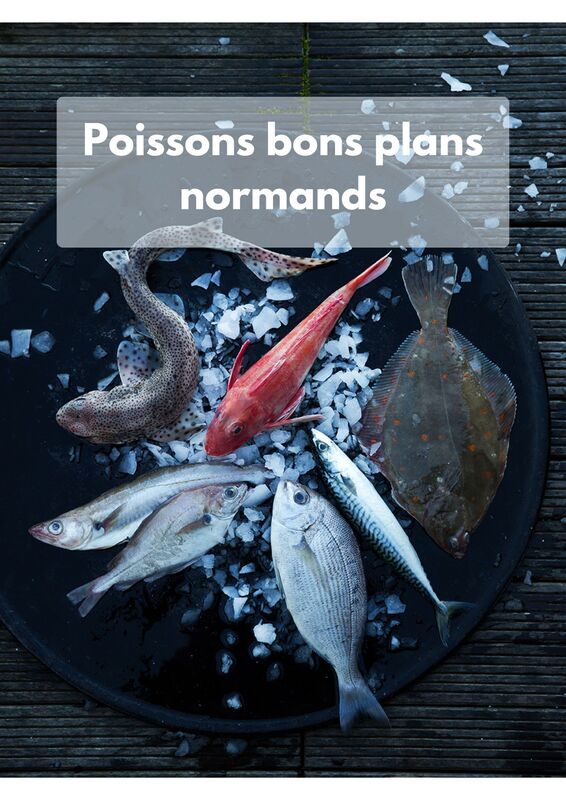 Poissons bons plans normands